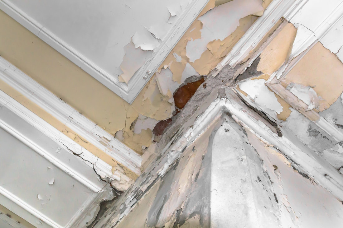 Get Free Snacks Ceiling Removal Quote Currently