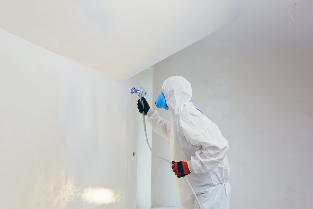 Residential Painters Near Me
